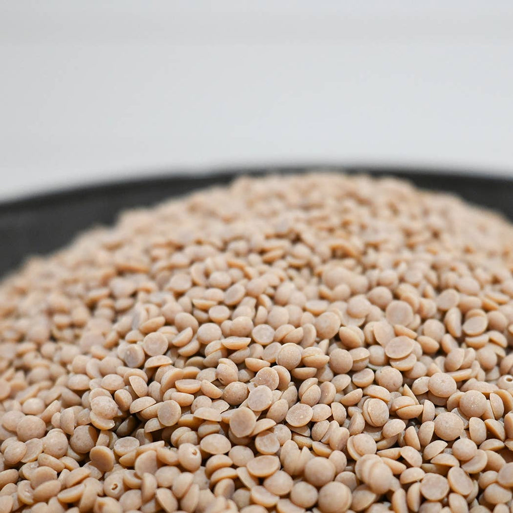 Soy Wax Scented Beads - 2lb Refill for A La Carte Candle Bar: Oatmeal Milk & Honey